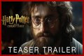Harry Potter and The Cursed Child: The Sequel